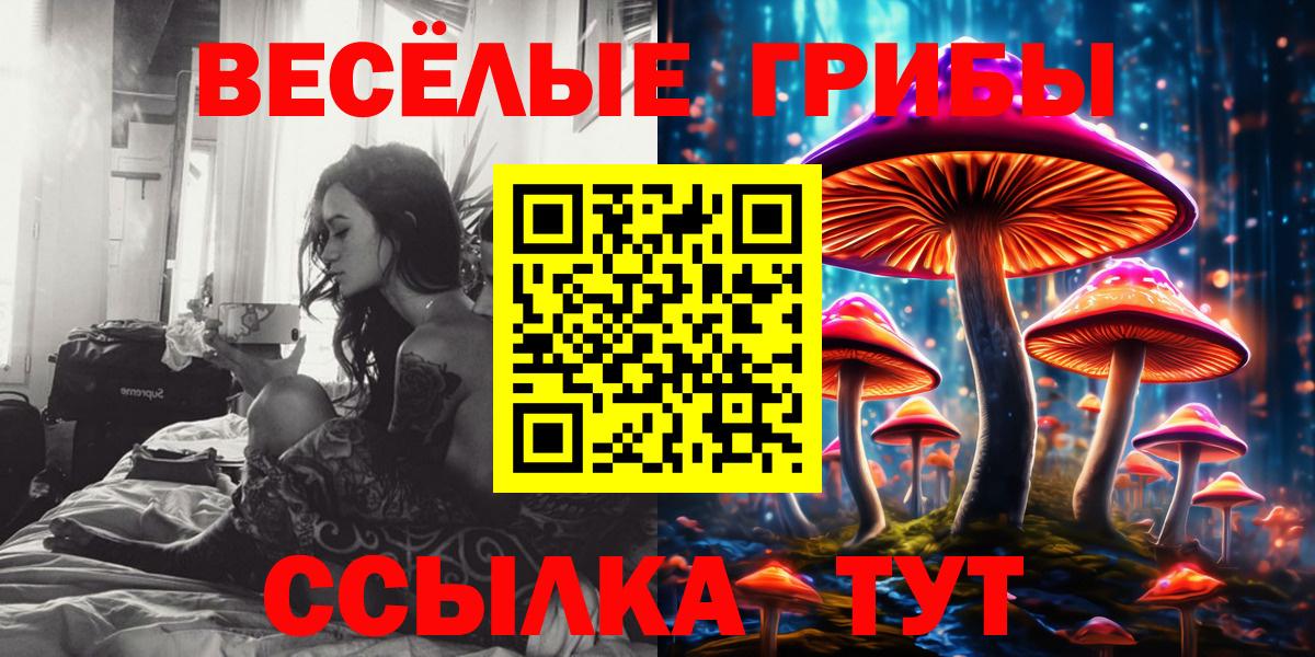 Псилоцибиновые грибы ЛСД Буйнакск